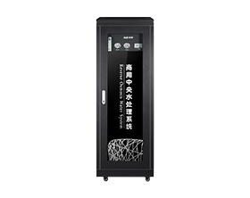 0.25T箱体式纯水机，奥克斯净水机，净水机